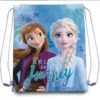 Disney Frozen - Elsa & Anna - Gymtas / Zwemtas -Mode Bagage Winkel 1200x1196 2