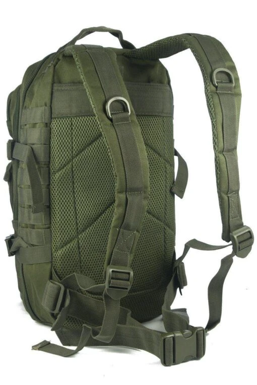 US Assault Pack Small 20 Liter Olive -Mode Bagage Winkel 800x1200 68